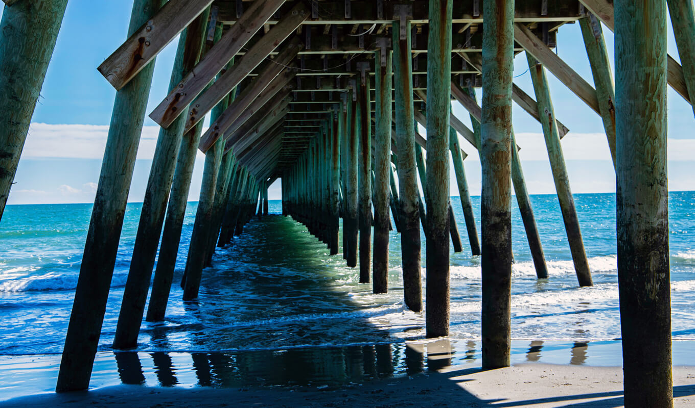 Cherry grove